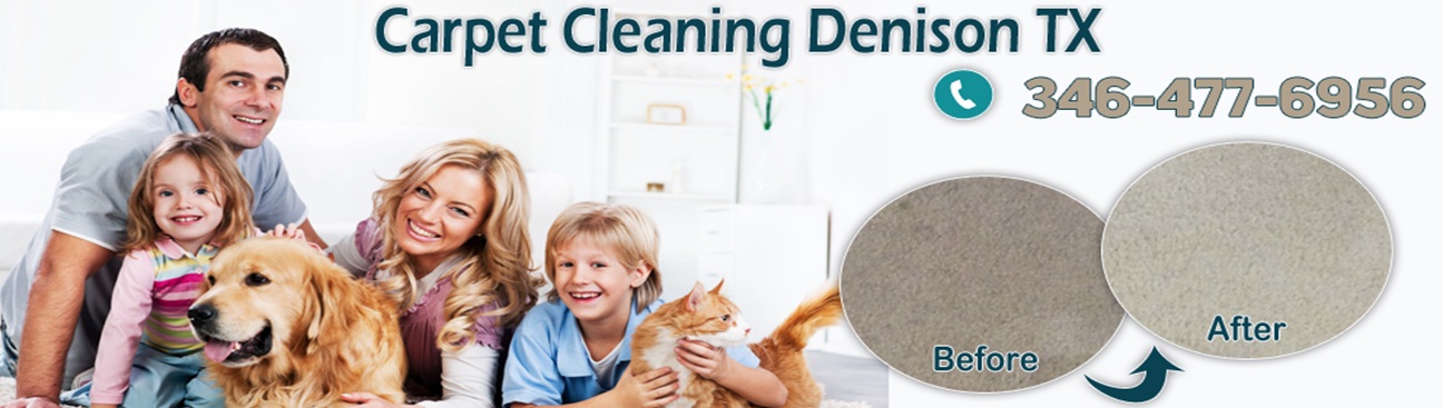 Carpet Cleaning in Denison TX's cover image