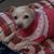 Carol Brown's profile image