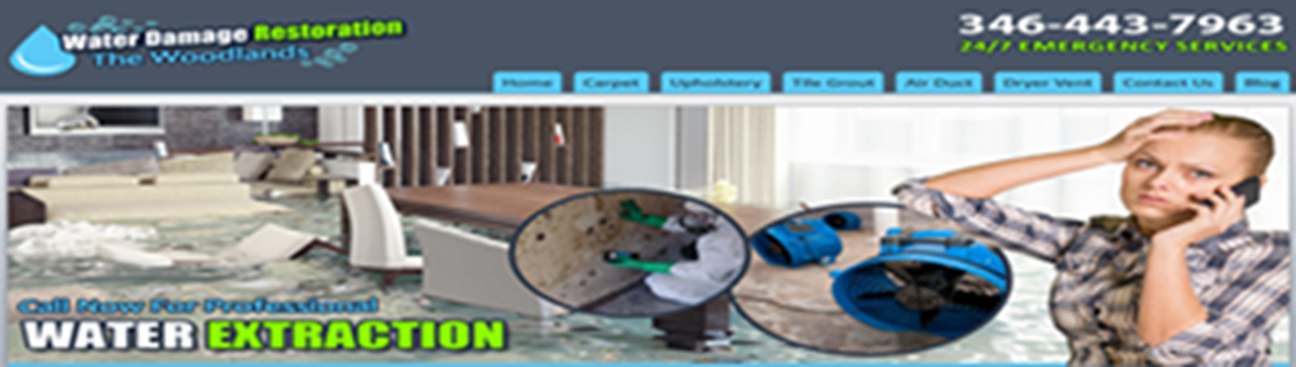 Water Damage Restoration the Woodlands TX's cover image