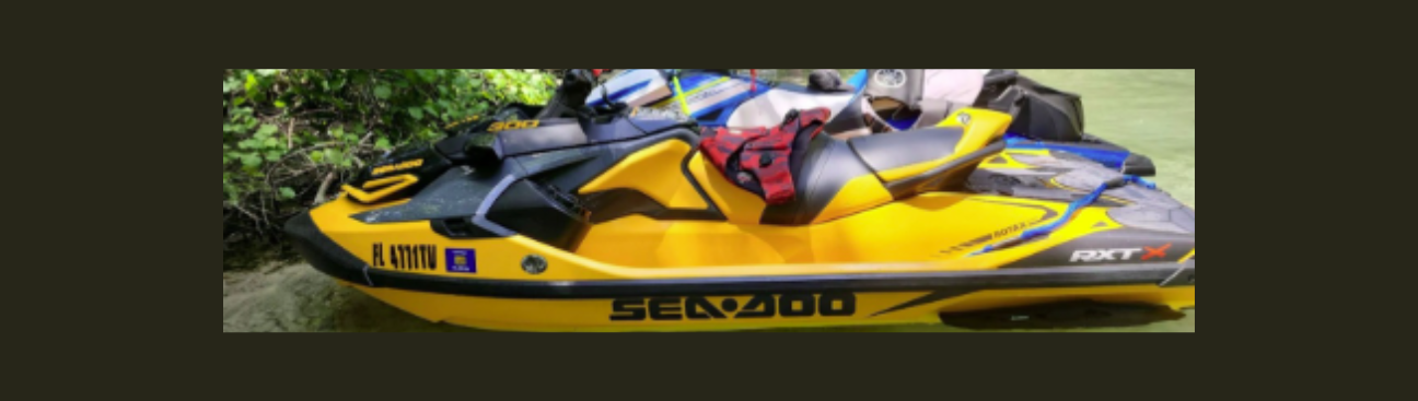 Aqua Safari Jetski Rentals's cover image