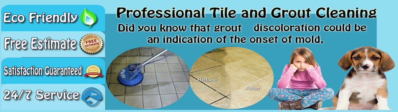 Tile Grout Cleaning Denton TX's cover image