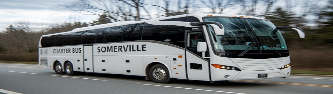 Charter Bus Somerville's cover image