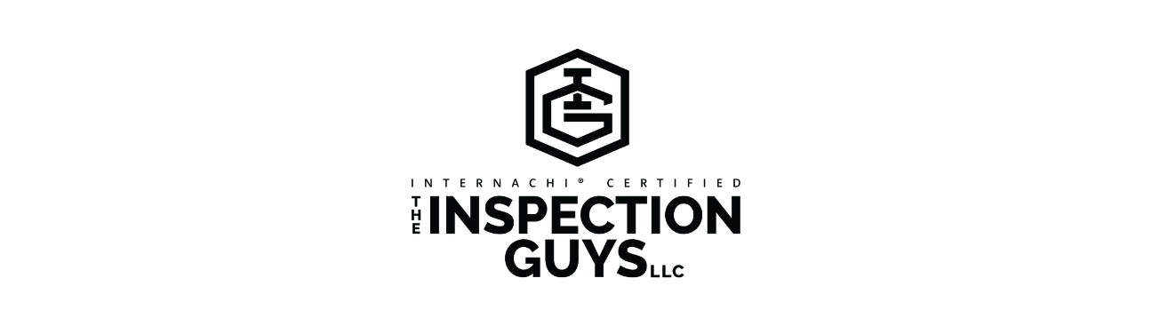 The Inspection Guys LLC's cover image