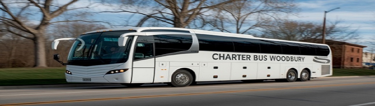 Charter Bus Woodbury's cover image
