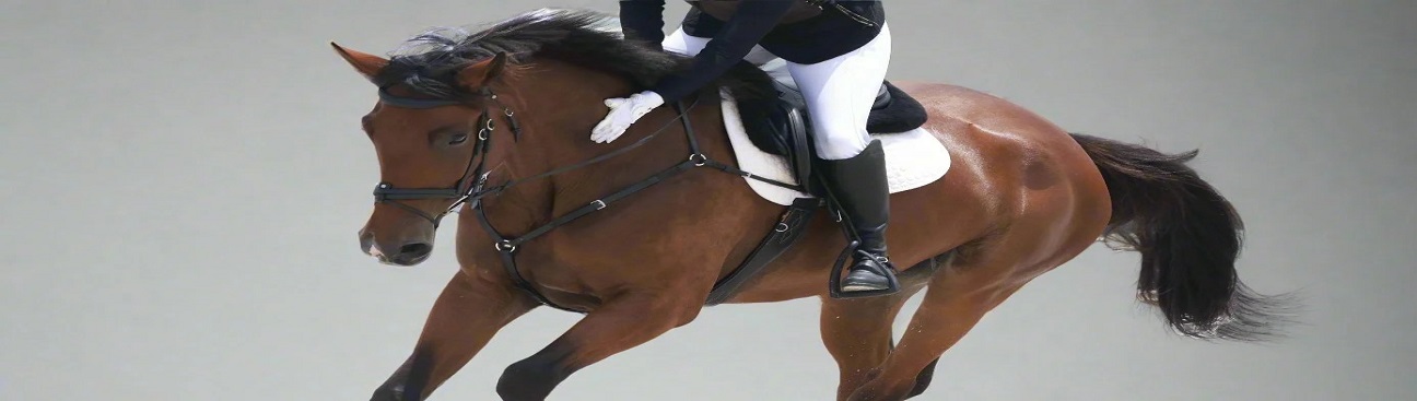 Canter Cart's cover image