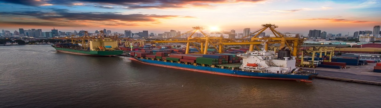 DMZ Environmental's cover image