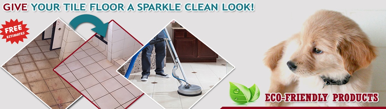 Tile Grout Cleaning Little Elm TX's cover image