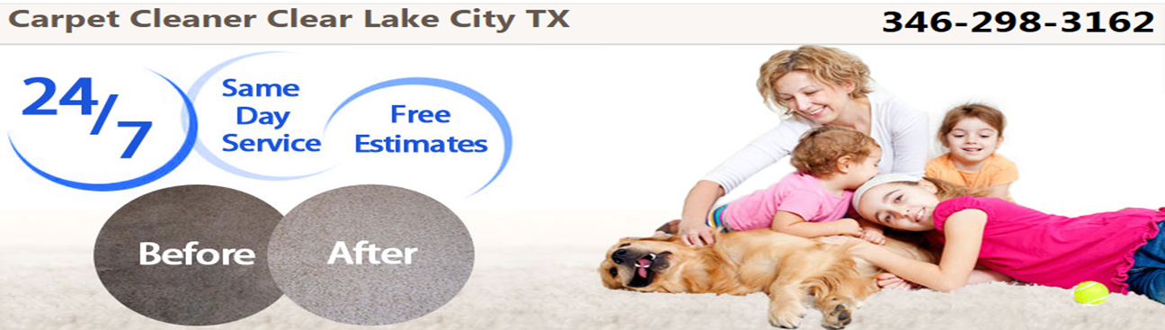 Lilly Carpet Cleaning Clear Lake City's cover image