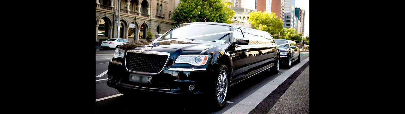 Leisure Limo Hamptons's cover image