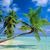 Barbara Reese Selbert's profile image