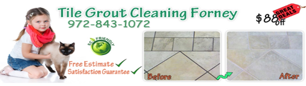 Tile Grout Cleaning Forney TX's cover image