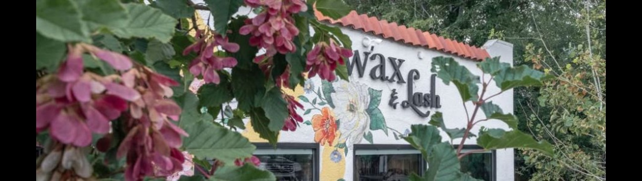 Wax Lash Denver's cover image