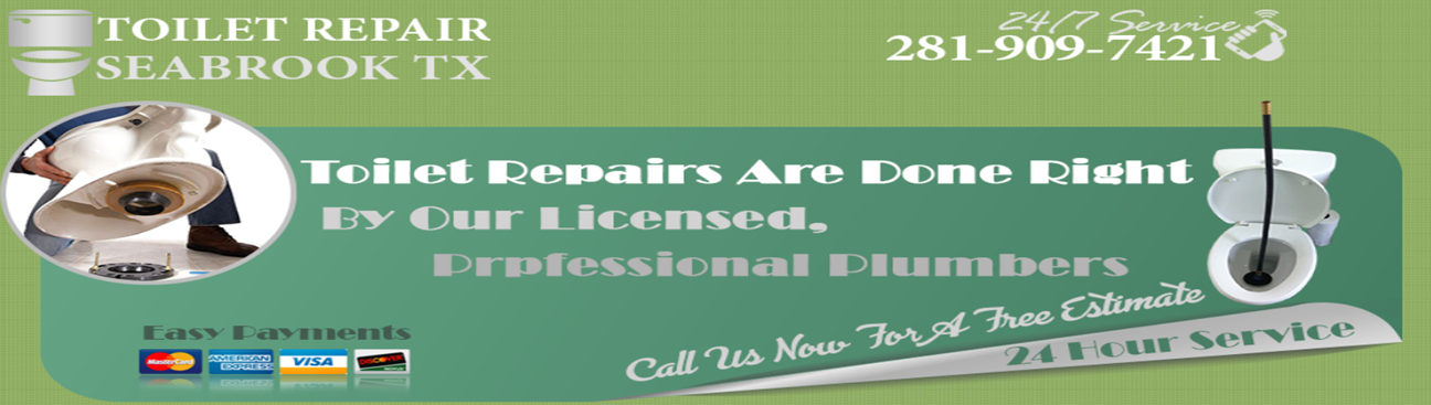 Toilet Repair Seabrook TX's cover image