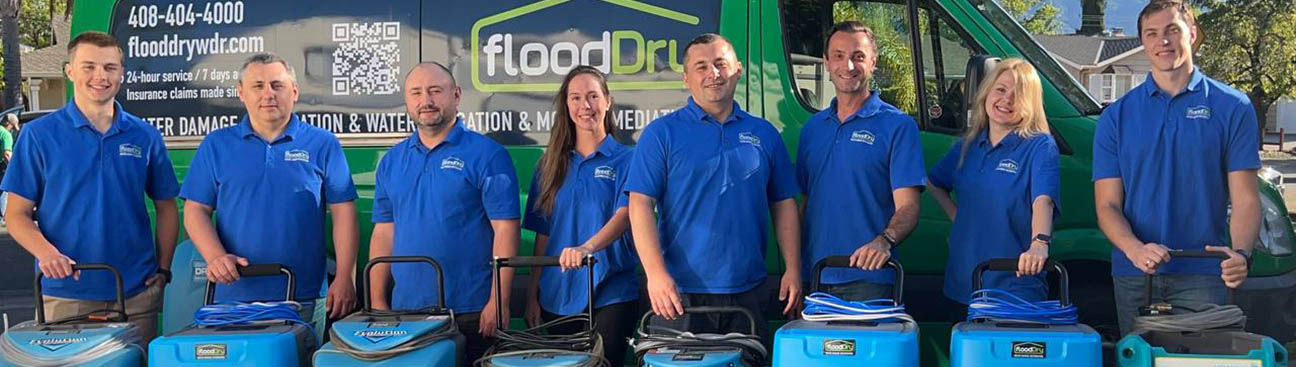 FLOODDRY WATER DAMAGE RESTORATION's cover image