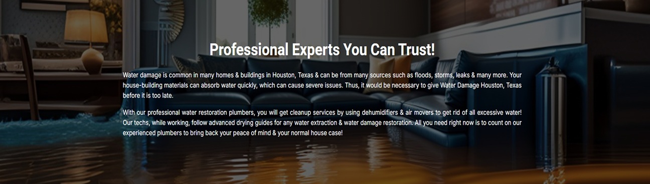 Water Damage Restoration Dallas's cover image