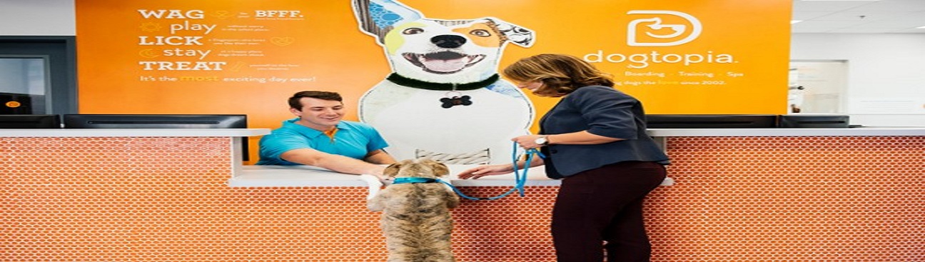 Dogtopia of St. Paul - University Ave's cover image