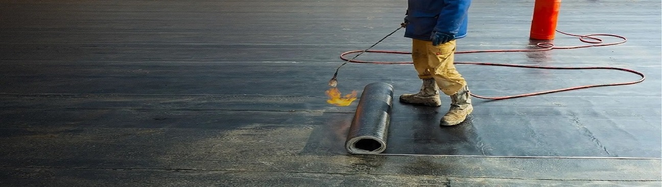 Australian Waterproofing Company's cover image