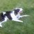 Windy Faulkingham's profile image