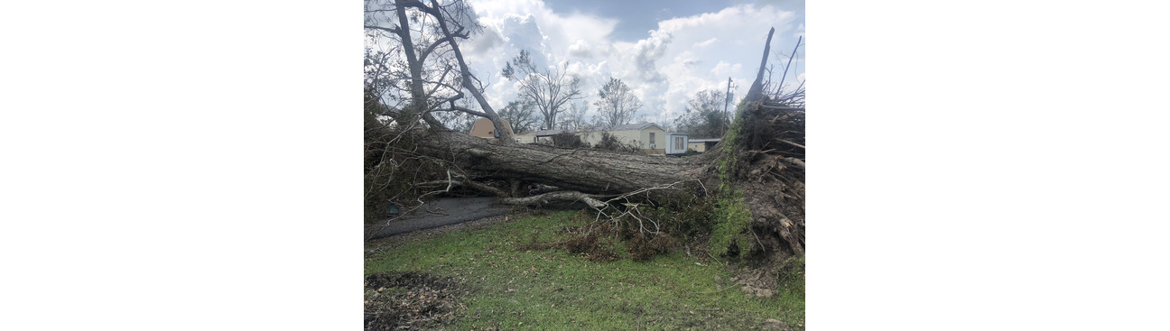 Lufkin Environmental's cover image