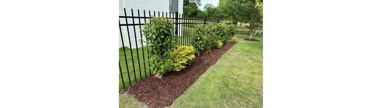 Landscaping and Lawn Care Services in Houma, LA's cover image
