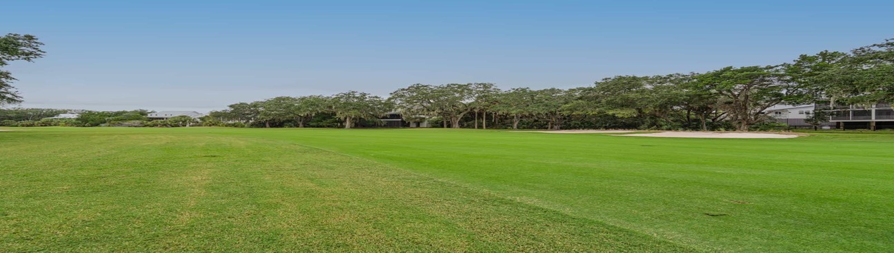 Fairway Shores at Edisto Beach, SC's cover image