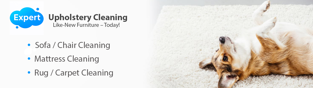 Expert Upholstery Cleaning Largo's cover image