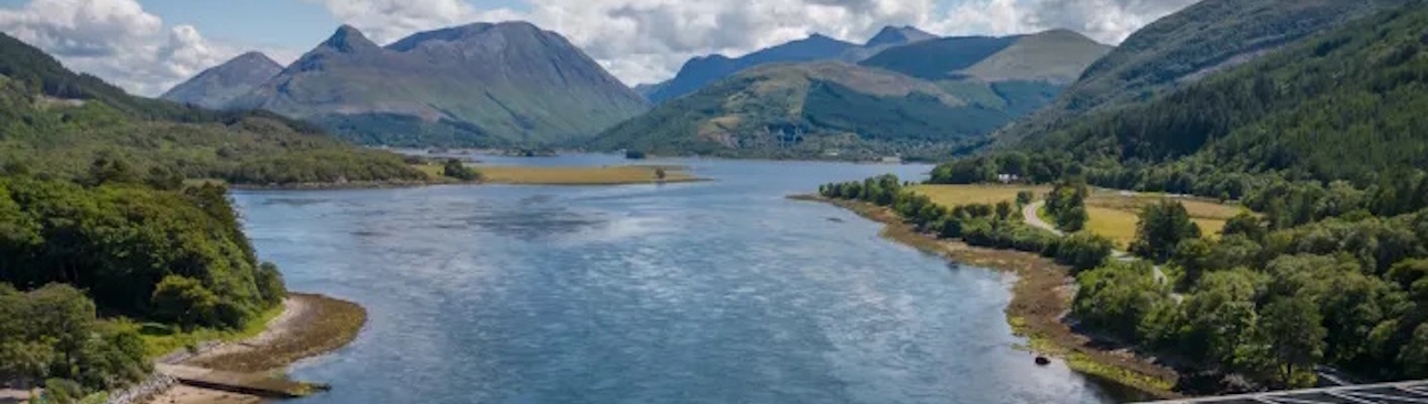 The Hairy Coo - Scotland Tours's cover image