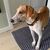 Pamela Walther's profile image