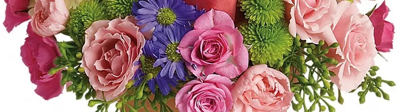 Roses and Flowers Florida's cover image