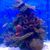 Yamilett Ortega's profile image