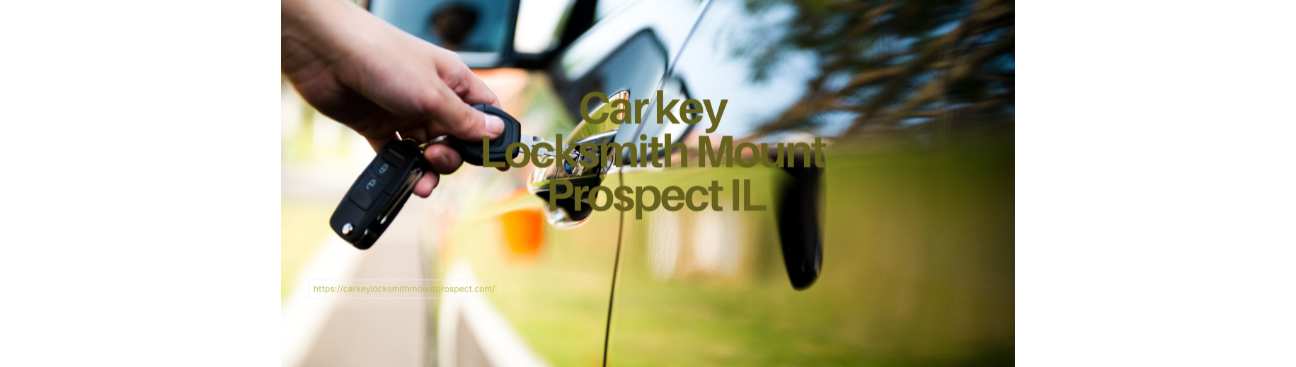 Car Key Locksmith Mount Prospect IL's cover image