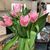 Rosemary Glassford's profile image