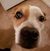 Jason Maitner's profile image