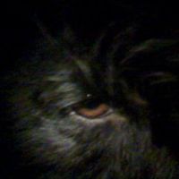 Armando Martinez's profile image