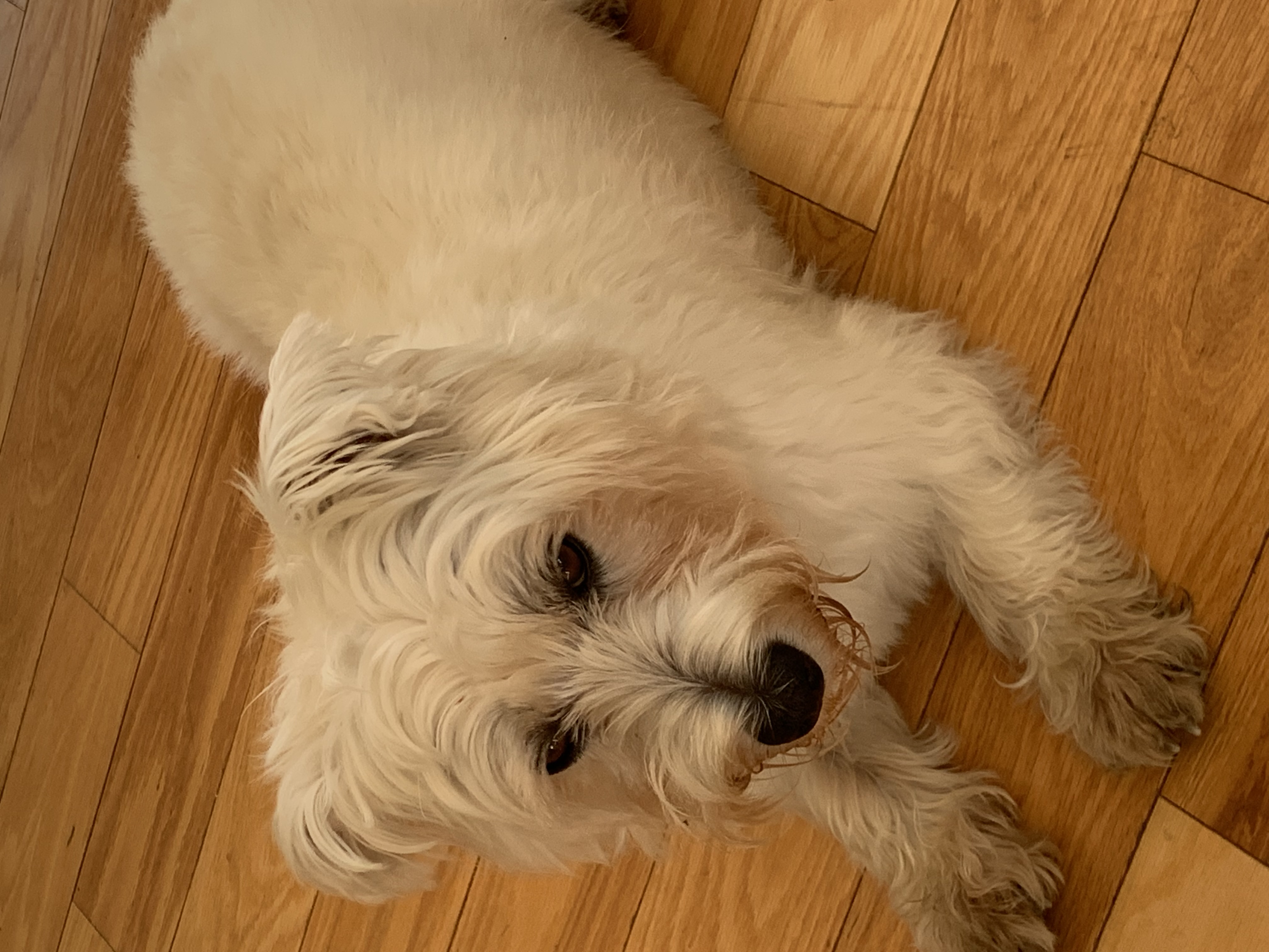 Louise T.'s post 1