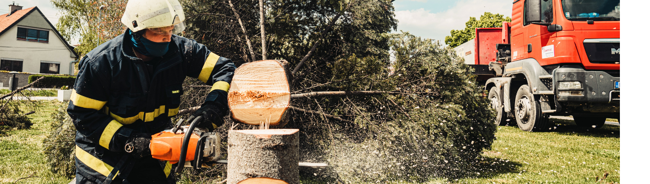 Rodriguez Trees LLC