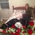Jule Godsey's profile image