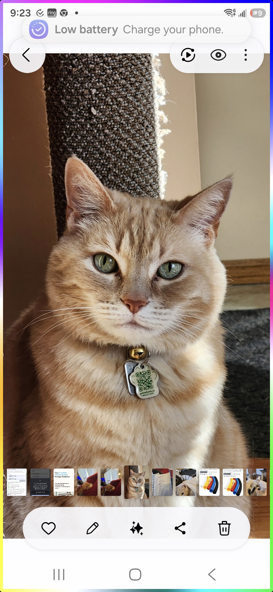 Debra Bayes S.'s post 3
