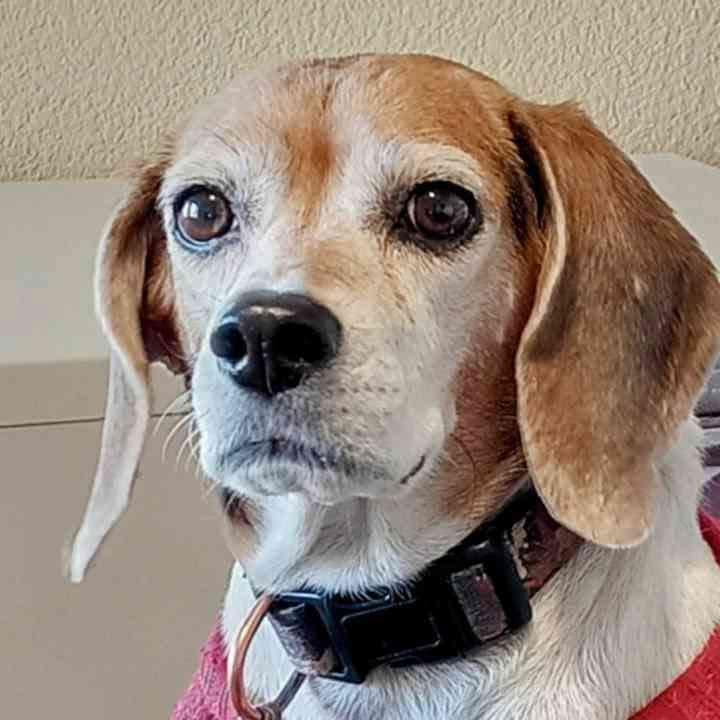 Linda S.'s post 1