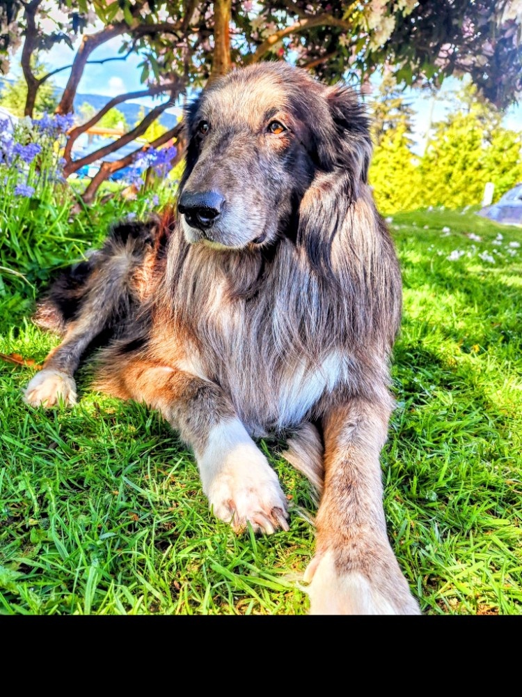 J J.'s post 3
