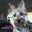 Elizabeth Aymond's profile image