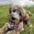 Jeanne DeGeyter's profile image