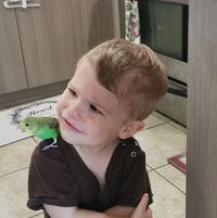 Taygan Pedersen's profile image