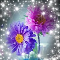 Ann Aline's profile image