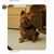 Judy Schuette's profile image
