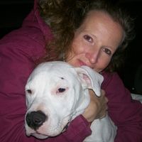 Elaine Clark's profile image