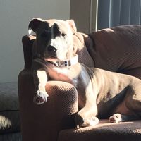 Ginny Marci's profile image