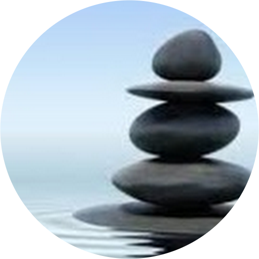 Shelley Palmer avatar