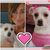 Marvi Labrador's profile image