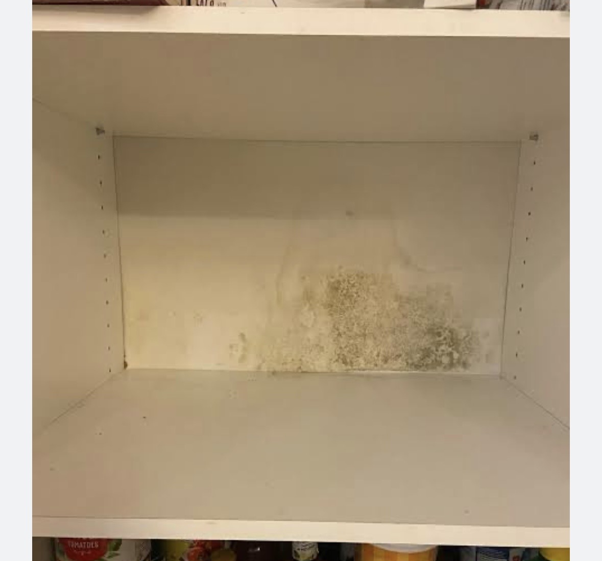 Peter P.'s post 4